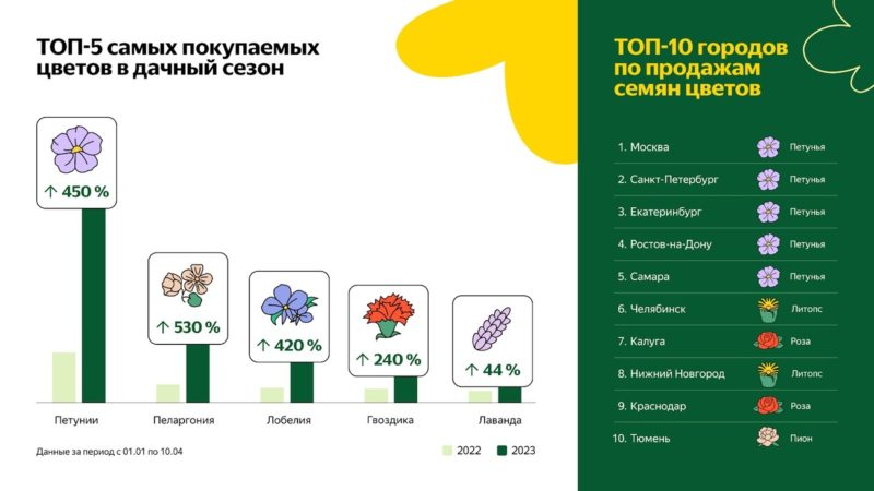 Петунии — cамые популярные цветы для сада среди клиентов Яндекс Маркета