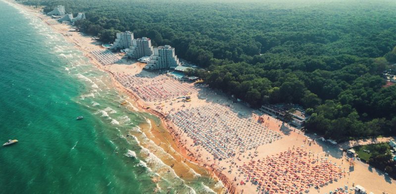 Яндекс Погода добавила прогноз температуры воды для морей и океанов