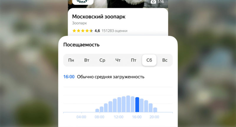 В Яндекс Картах появился график загруженности для ресторанов, музеев и других мест