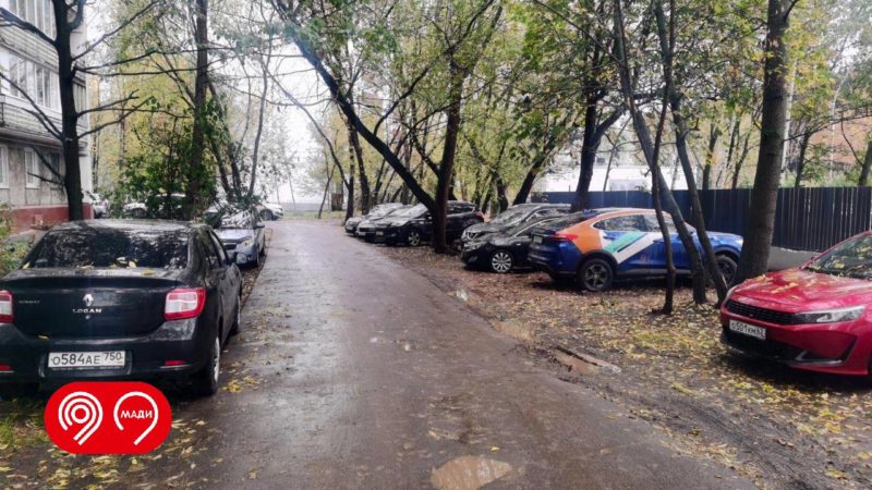 В Дептрансе Москвы напомнили о вреде растениям и корням деревьев в случае парковки на газонах