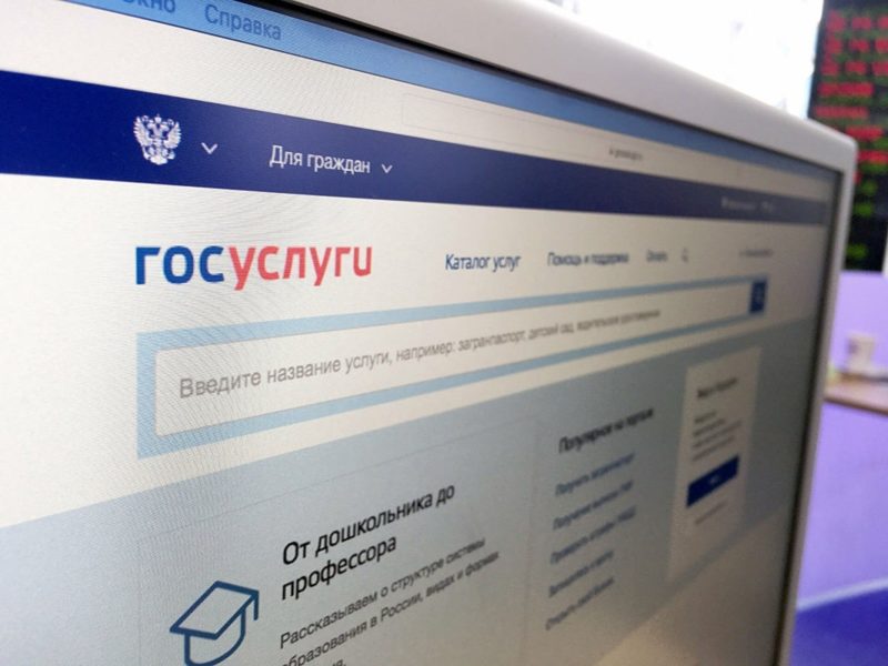 На Госуслугах появились водительские чаты