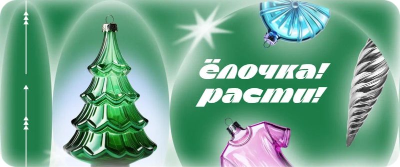 Ecoplatform совместно с Центром чистой природы запустили проект по восстановлению еловых лесов