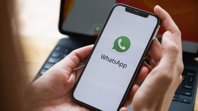 В WhatsApp* добавят ссылки на соцсети и ролевые метки в чате