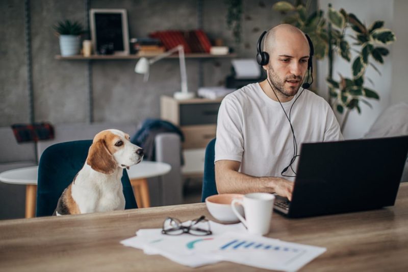 Исследование: 60% IT-специалистов привлекает возможность работать удалённо