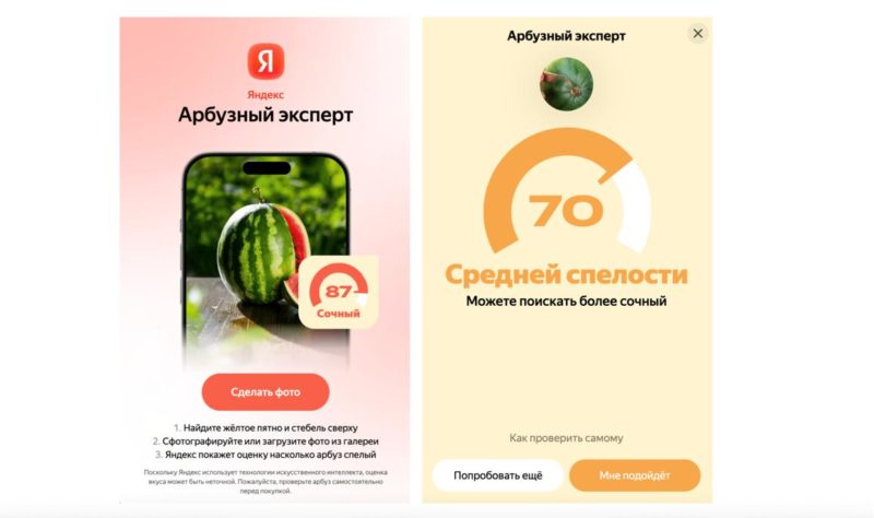 «Арбузный эксперт» в поиске Яндекса поможет пользователям выбрать спелый арбуз по фотографии