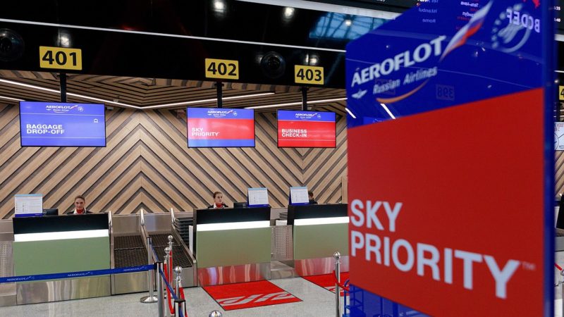 Аэрофлот открыл отдельную стойку для регистрации с животными в Шереметьево