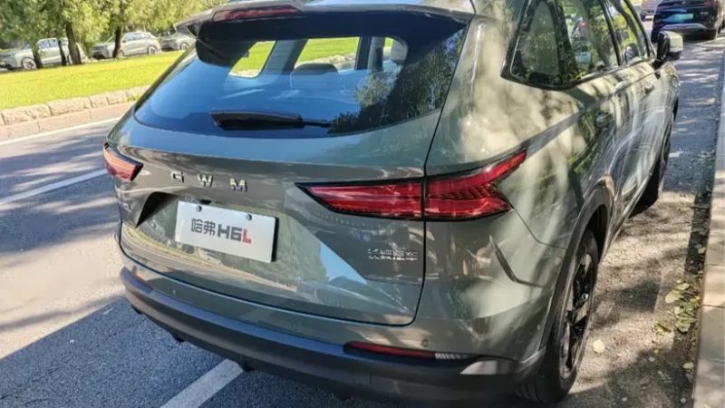В Китае показали новый кроссовер Haval, который может появиться в России — фото 2