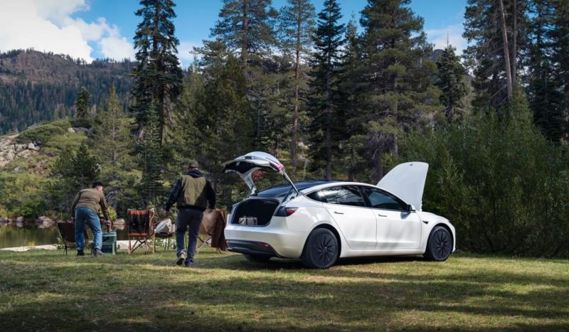 Tesla представила «доступные» Standard-версии Model 3 и  Model Y