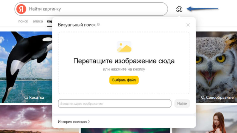 Яндекс обновил Поиск по картинкам